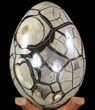 Septarian Dragon Egg Geode - Removable Section #78537-4